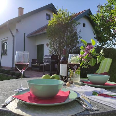 Szolohegyi Haziko - Cottage In The Vineyard Balatonszárszó エクステリア 写真
