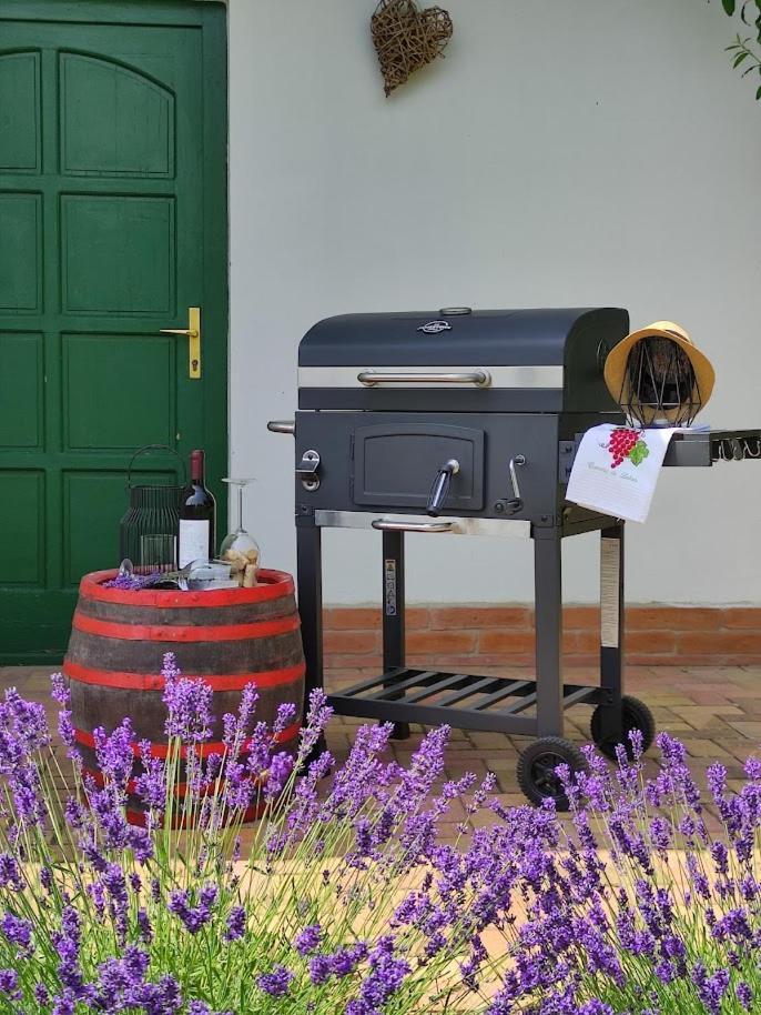 Szolohegyi Haziko - Cottage In The Vineyard Balatonszárszó エクステリア 写真